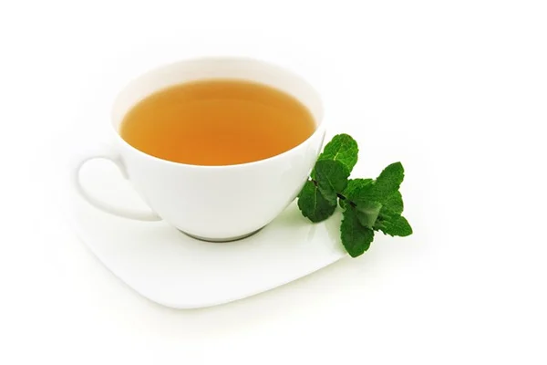 プロが本当に使ってる剪定ばさみ