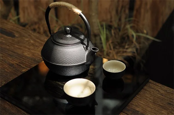 湿度罩育苗器を使うべき理由と発芽率UPのコツ