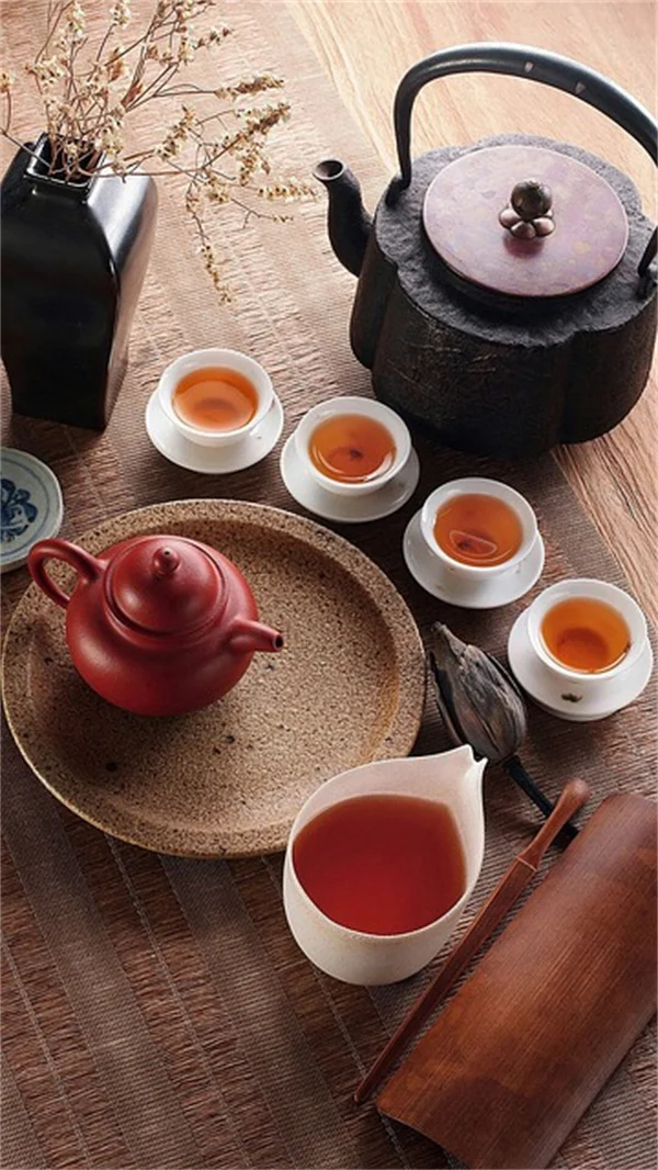 湿度罩育苗器を使うべき理由と発芽率UPのコツ