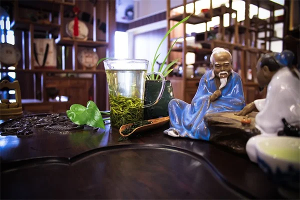 水を減らして植物を強くする本当のコツと注意点