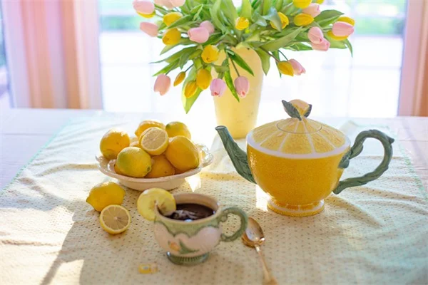 春の花選びで失敗しない！早春から初夏まで楽しむ5つのコツ